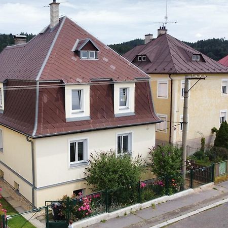 Pension U Stastnych Hotell Mariánské Lázně Eksteriør bilde